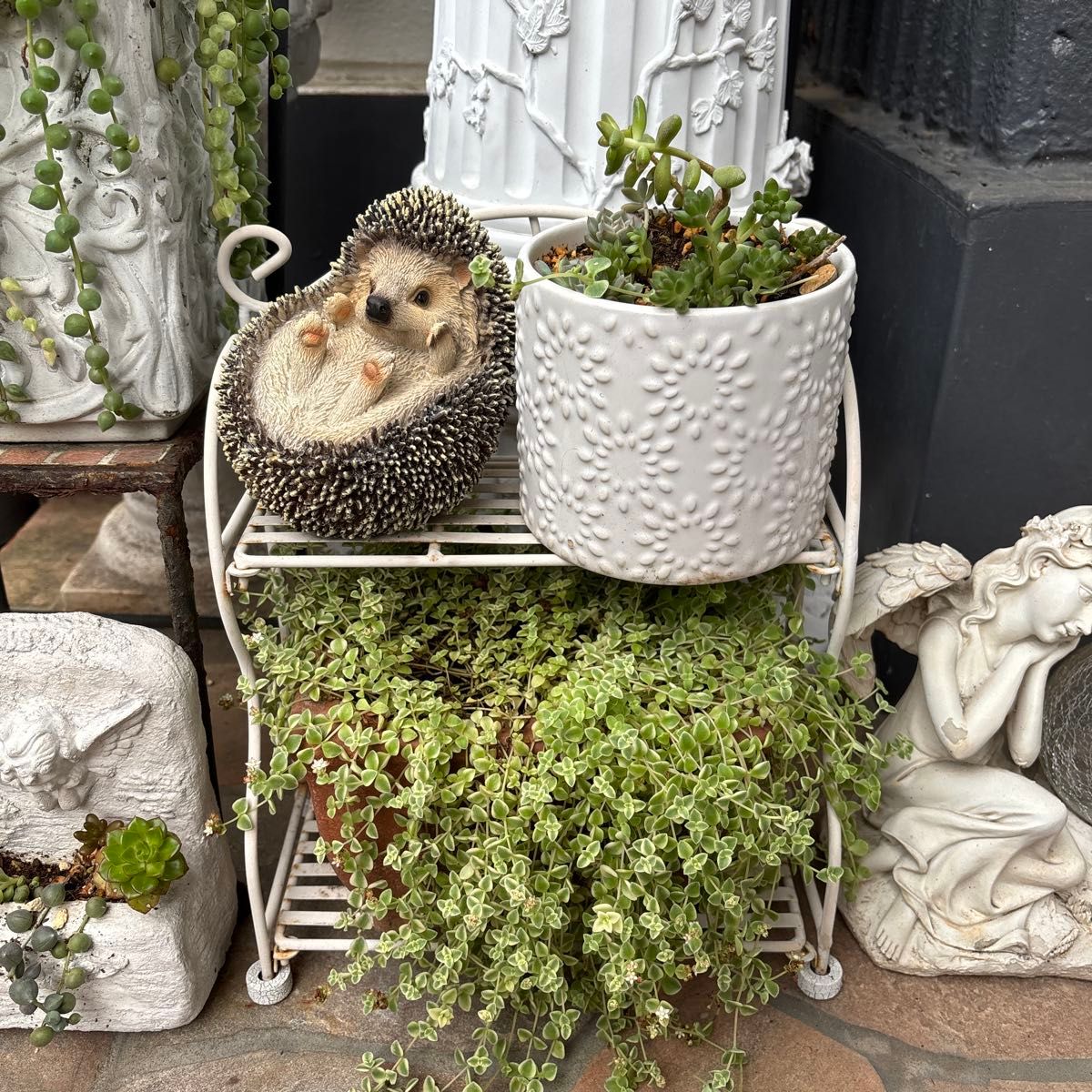 工具不要☆組み立て簡単☆天然木☆植物棚☆プランターラック☆窓枠植物☆観葉植物棚 工具不要 組み立て簡単 天然木 植物棚 プランターラック 窓枠