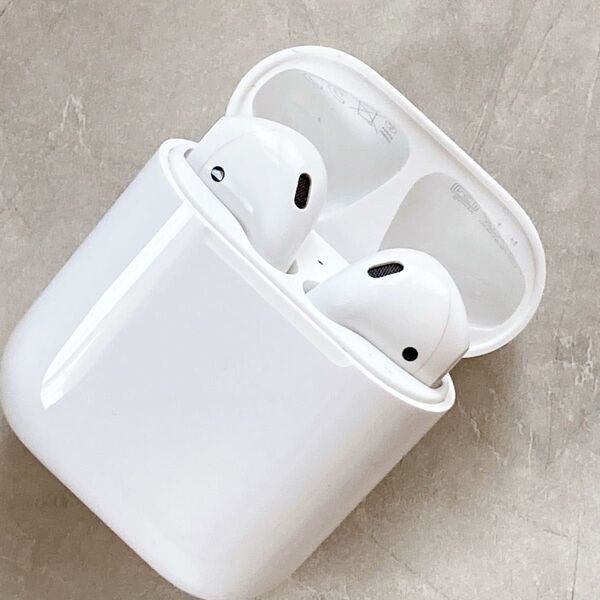 apple AirPods 第2世代 A2031 イヤホン 充電ケース