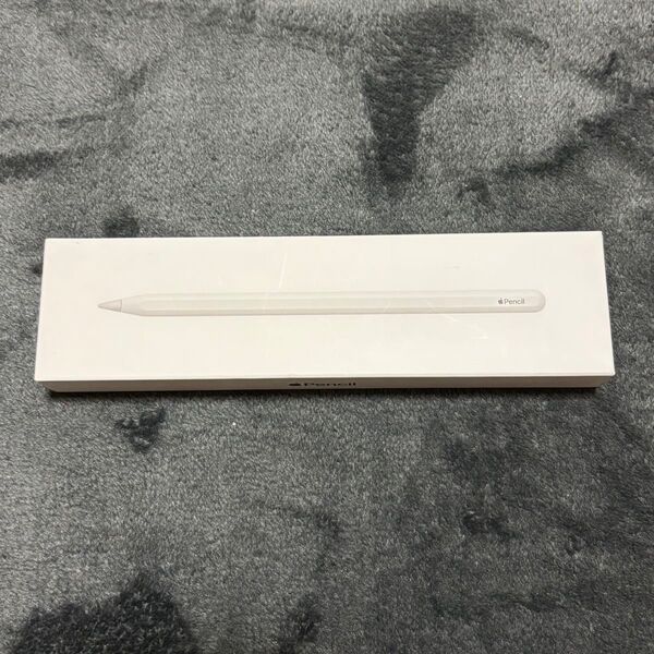 アップル Apple Pencil (第2世代)