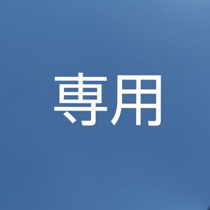 専用 トミカおまとめ12点セット