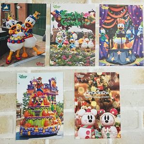 ディズニー ドナルド・デイジー・グーフィー ポストカードセット