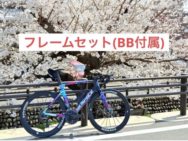 WINSPACE T1500 マルチカラー L(510) ロードバイクフレーム