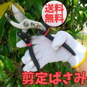 剪定 ばさみ ハサミ 枝切り ガーデニング 園芸 剪定バサミ 庭木 植木伐採造園
