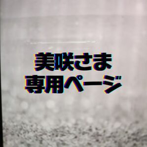 美咲さま 専用ページ