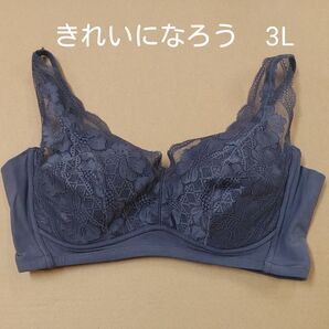 きれいになろう! 制菌加工 綿ベア天竺 レースデザイン 楽ブラ3L