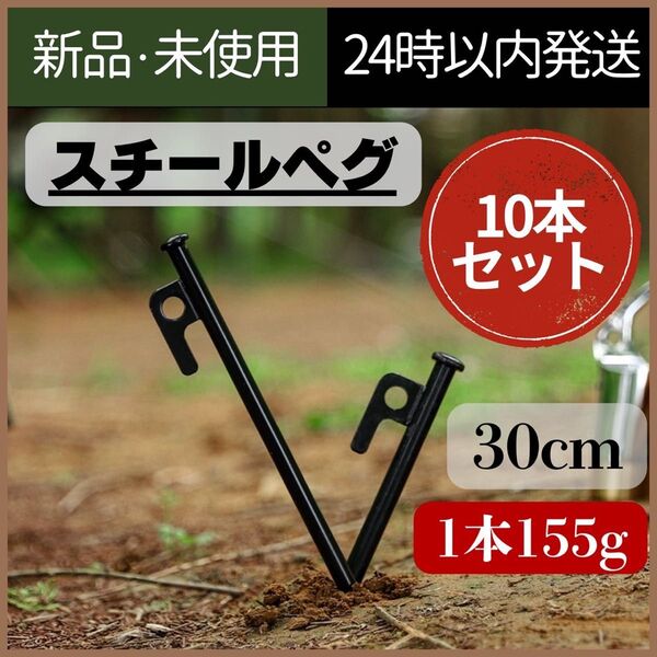 【新品未使用】スチールペグ テント タープ 30cm 軽量 10本セット