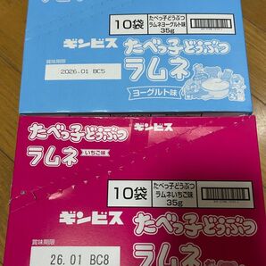 たべっ子どうぶつ ラムネ ヨーグルト 10点 いちご 10点