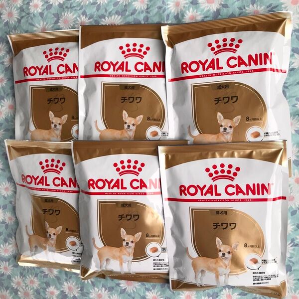 ロイヤルカナン チワワ 成犬用 8ヶ月以上 50g×6袋セット ドッグフード ドライ ROYAL CANIN
