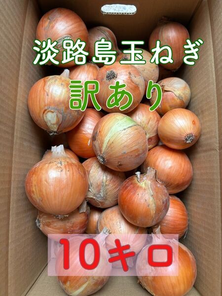 淡路島産玉ねぎ 訳あり10キロ【箱除く】