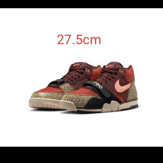 NIKE SB AIR TRAINER 1 QS (27.5cm)US9.5