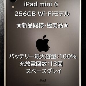 【新品同様】Apple iPad mini 8.3インチ 第6世代 256Gb スペースグレイ Wi-Fi モデル