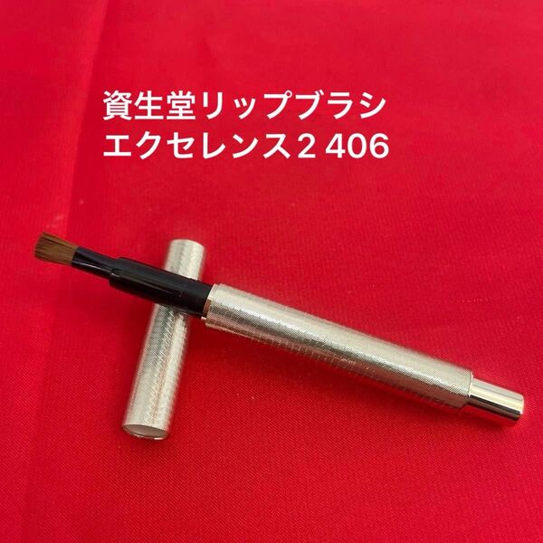 資生堂リップブラシエクセレンス2 406