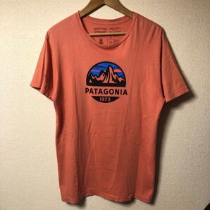 パタゴニア Tシャツ フロントプリント