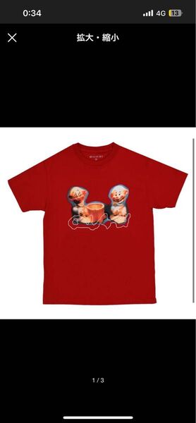 QUASI skateboards Tシャツ PROV