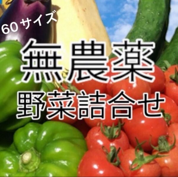 無農薬・除草剤、化学肥料不使用 野菜詰め合わせ