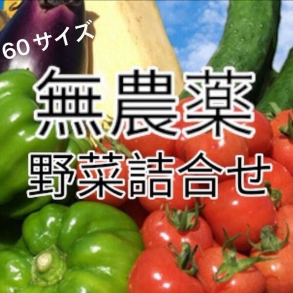 無農薬・除草剤、化学肥料不使用 野菜詰め合わせ