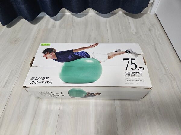 La-VIE ノンバーストバランスボール 75cm グリーン
