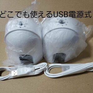 アース ノーマット USB電源式 本体のみ 2個セット