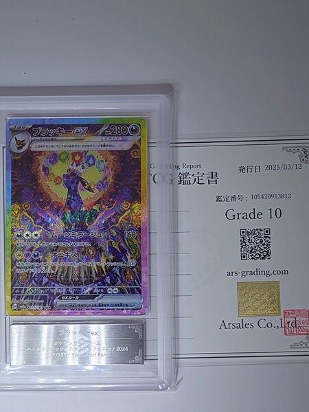 【ARS10・鑑定書付き】ブラッキーexSAR PSA10相当