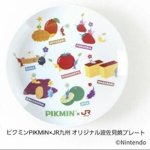ピクミンPIKMIN×JR九州 オリジナル波佐見焼プレート(新品、未使用)