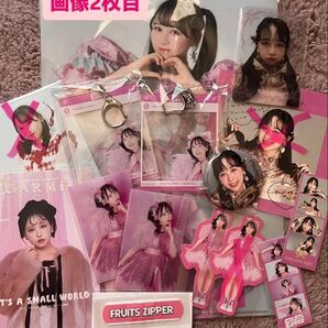 FRUITS ZIPPER 松本かれんグッズ4000円→3500円値下げ中今ならおまけ付き!!2枚目