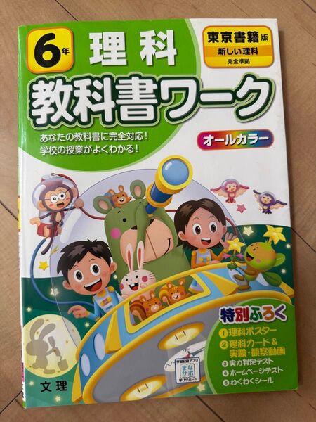 教科書ワーク 6年 理解 東京書籍