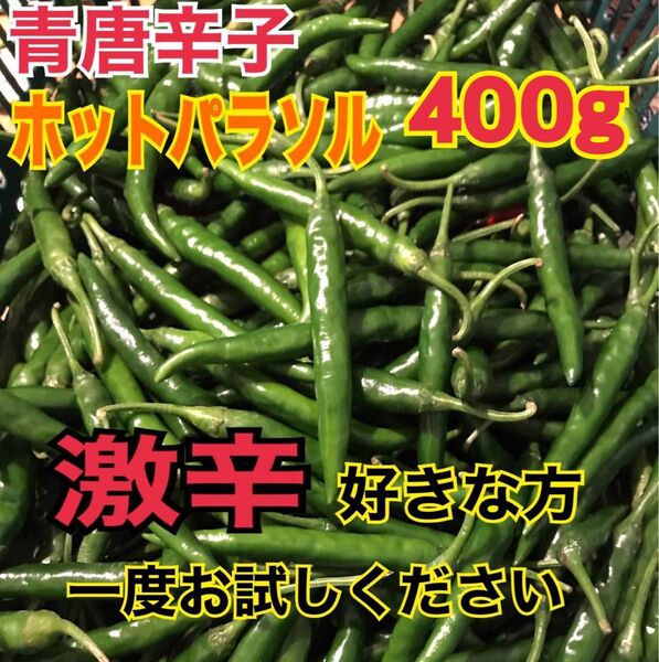 激辛!!青唐辛子 ホットパラソル 千葉県産400g