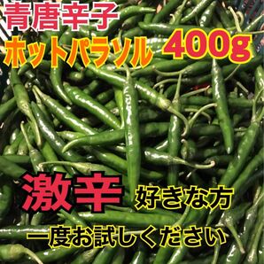 激辛!!青唐辛子 ホットパラソル 千葉県産 400g