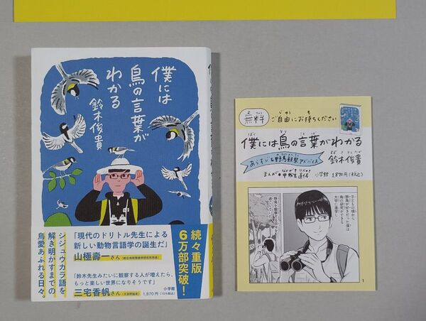 僕には鳥の言葉がわかる ※リーフレット添付
