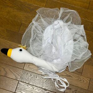 白鳥パンツ コスプレ