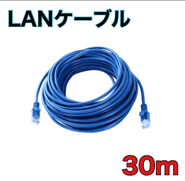 LANケーブル 30m CAT5e 青 ブルー 事務所 テナント 自宅 Cat 5 人気