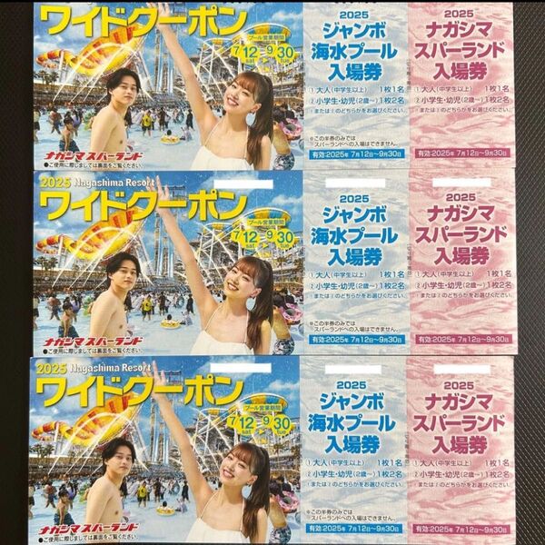 ナガシマスパーランド入場券 ジャンボ海水プール入場券 3枚