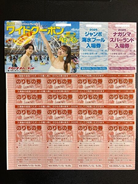 ナガシマスパーランド入場券 ジャンボ海水プール入場券 1枚 のりもの券16枚