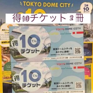 東京ドームシティ 得10チケット 2枚 有効期限2025年9月30日