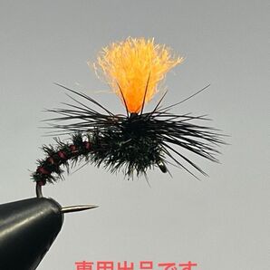 12番カエシなし イワイイワナパラシュート 赤5本 緑10本 109