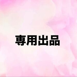 専用出品