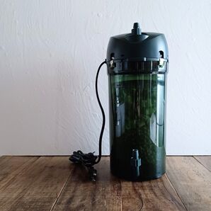 shiturae collection EHEIM 500 50Hz Giassterior 60cm 水槽 セット