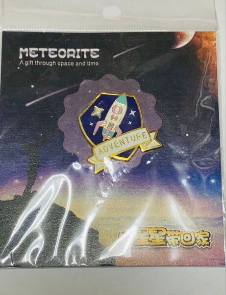 メテオライト ピンバッジ