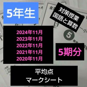 全国統一小学生テスト5年生