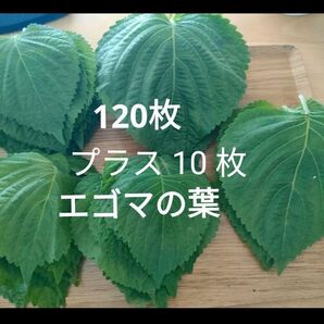 えごまの葉 130 枚オマケ 農薬不使用キムチ 韓国料理 野菜 ハーブ