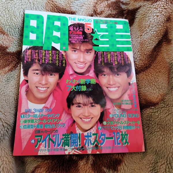 昭和レトロ 昭和アイドル 明星 エンタメ 雑誌 本 コレクション