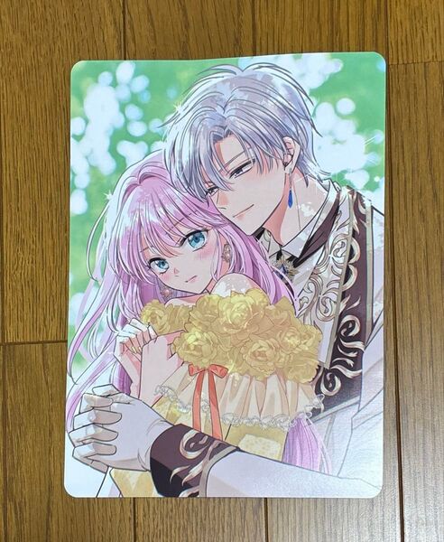 公爵様、悪妻の私はもう放っておいてください 1巻 アニメイト特典