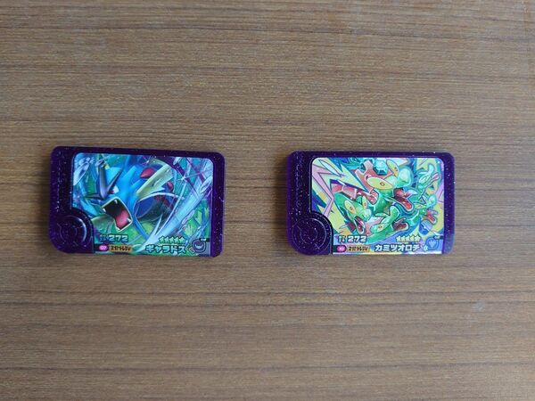 ポケモンフレンダ メガギャラドス カミツオロチ セット スーパートレジャー ポケモン ギャラドス カミツオロチ