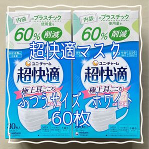 超快適マスク 極上耳ごこち ホワイト ふつうサイズ 30枚入×2【新品・未使用】
