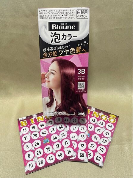 ブローネ 泡カラー 3B ボルドーブラウン【新品・未使用】ビンゴカード×1