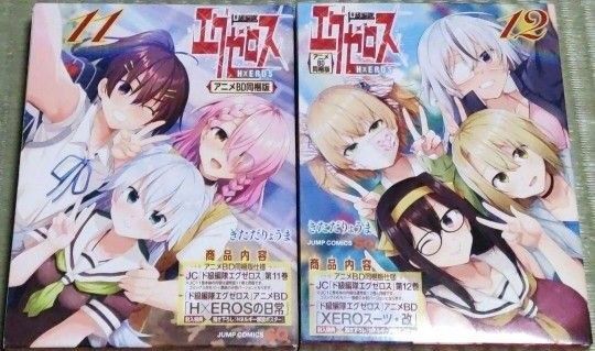 ド級編隊エグゼロス 特装版 アニメBD同梱版 11巻・12巻セット