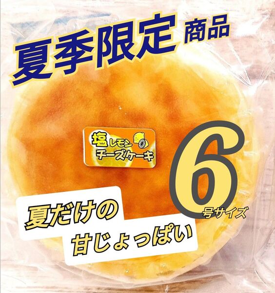 夏のご褒美 塩レモンチーズケーキ 6号サイズ アウトレット