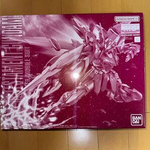 MG テスタメントガンダム