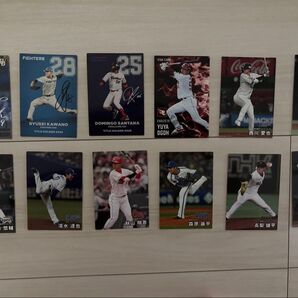 プロ野球チップス カード 12枚セット