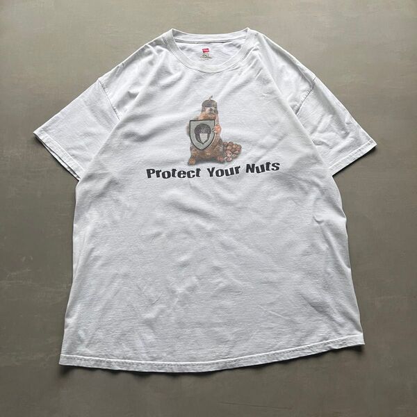 00s アニマル アート Tシャツ リス かわいい ビッグサイズ XL ヘインズ 90s ヴィンテージ 動物 半袖 白 ホワイト